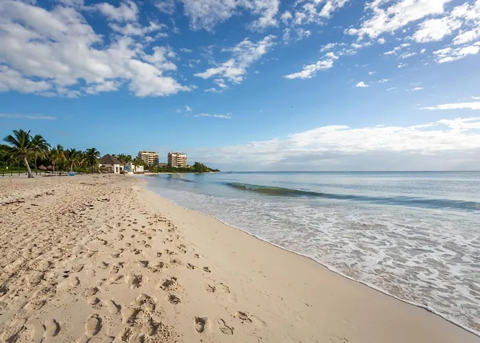 Casa Diva Stunning Ph Ocean View 2 Bedroom & Office At Mareazul Apts