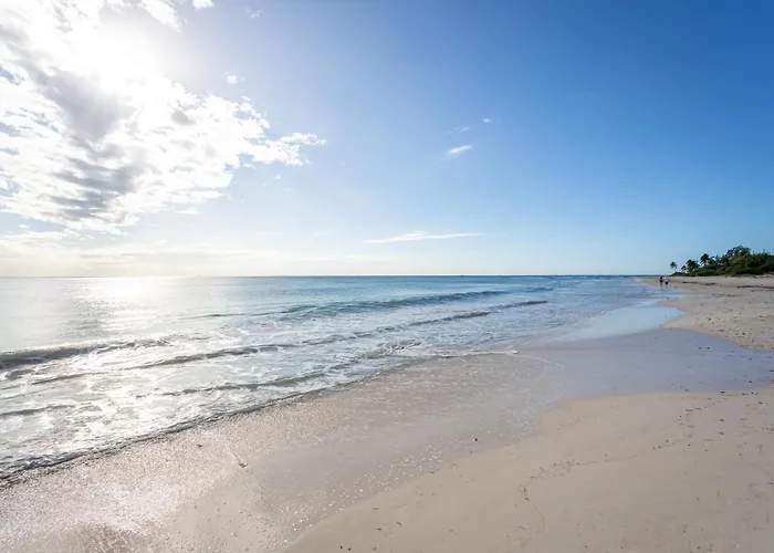 Casa Diva Stunning Ph Ocean View 2 Bedroom & Office At Mareazul Apts Apartment *